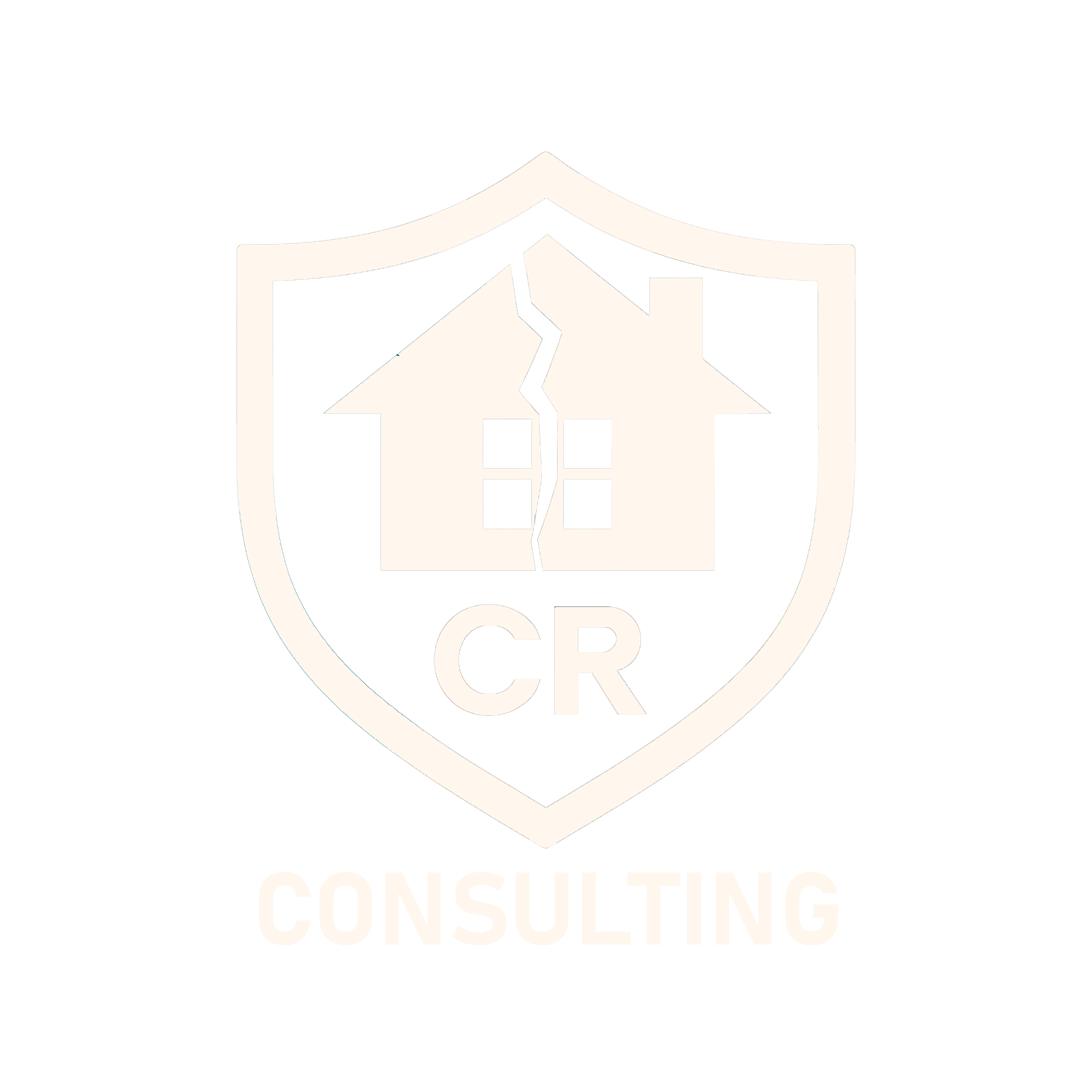 CR Consulting